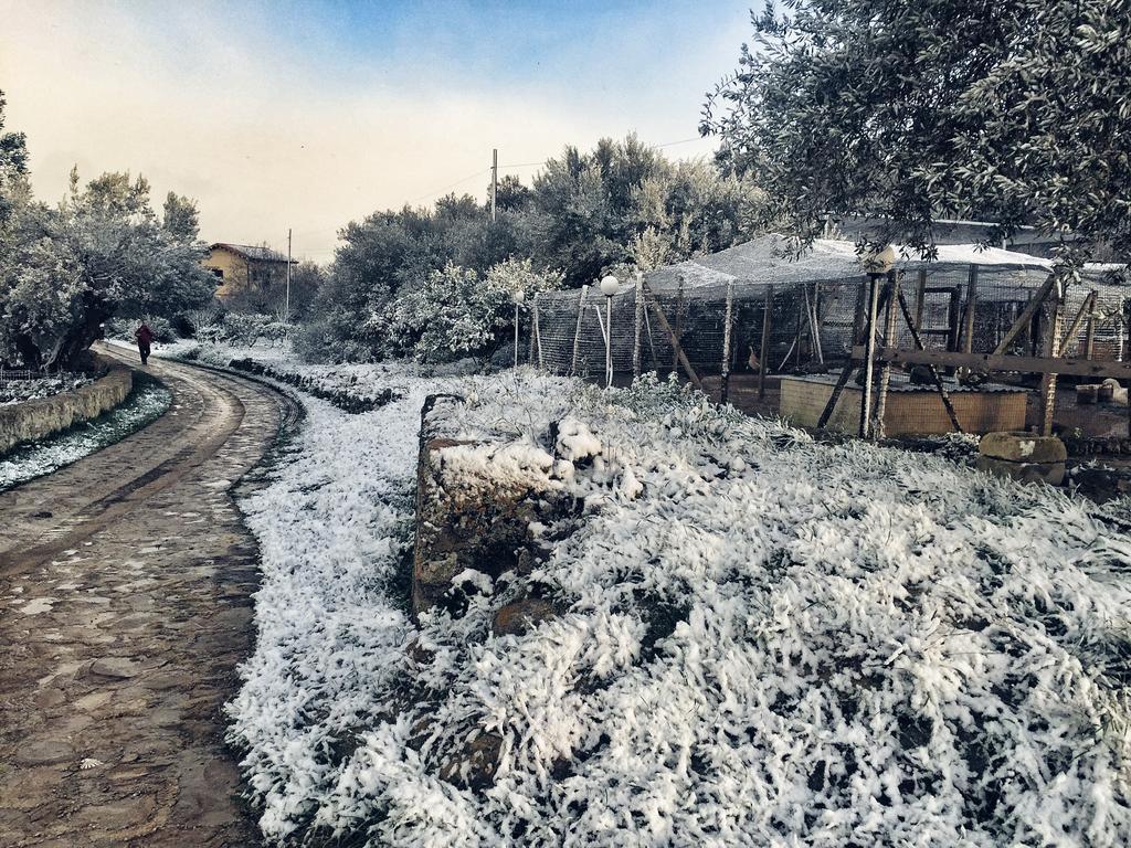 Coscio Di Badia Villa Naro Bagian luar foto